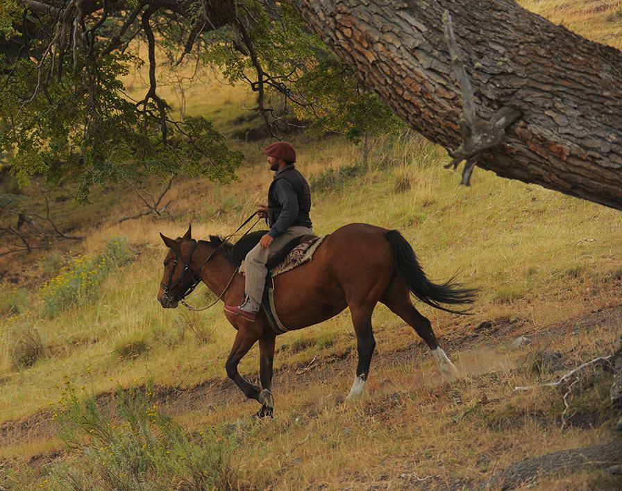 cabalgata_merienda_02